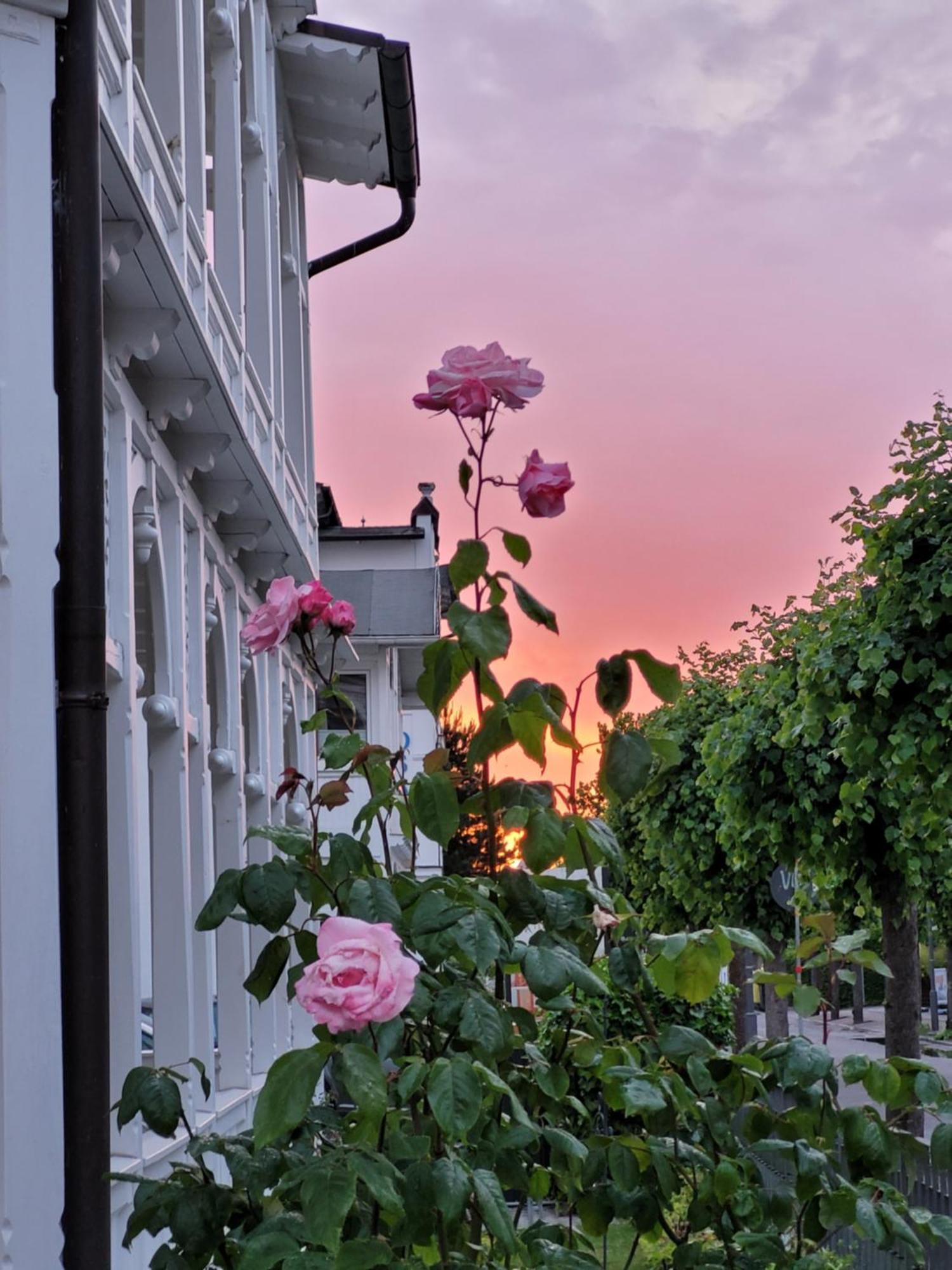 Hotel Villa Meeresgruss Binz Exterior photo